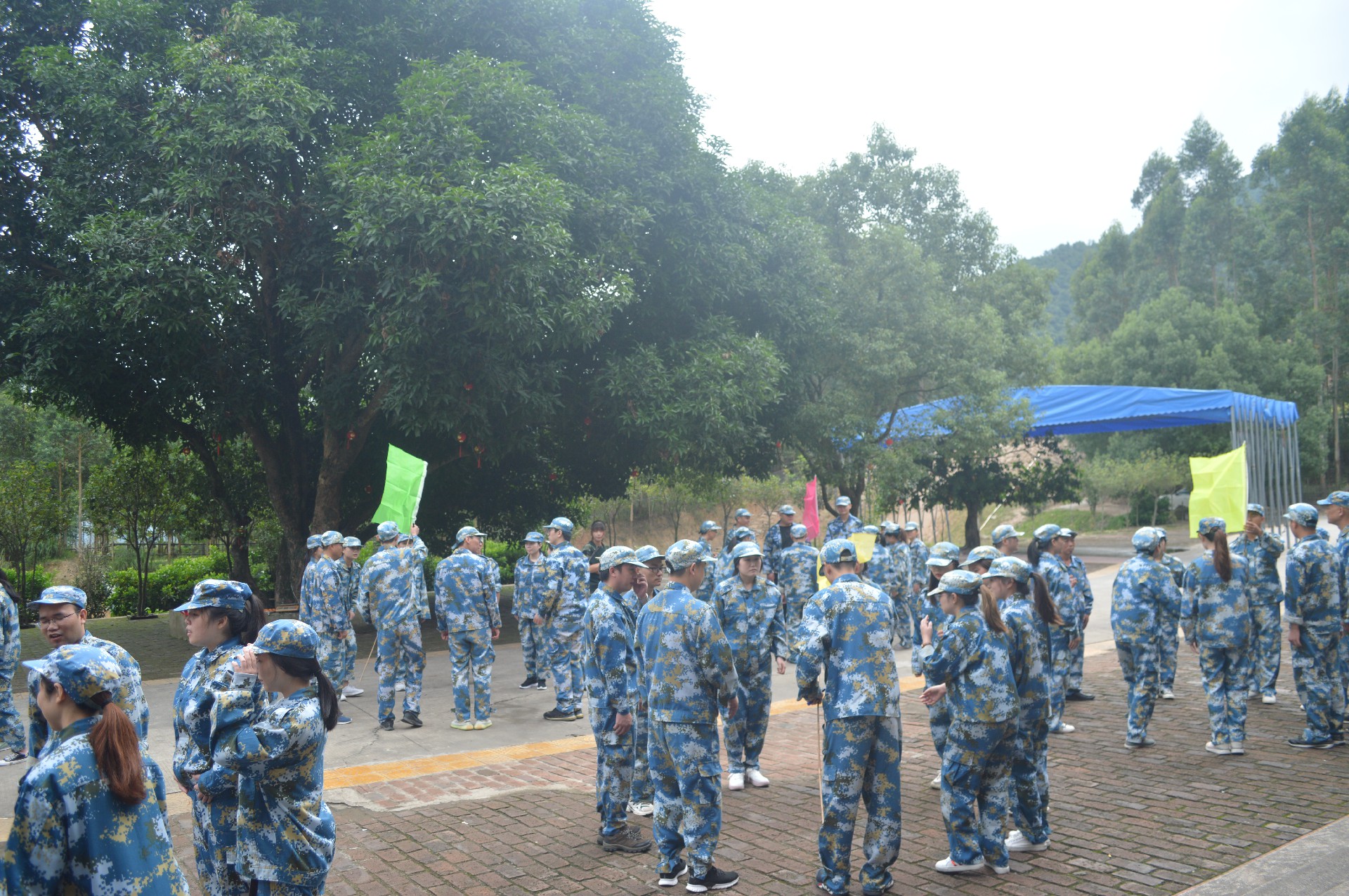 DSC_0130.JPG